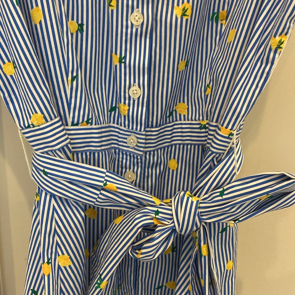 J.Crew Factory  Blue striped Dress with Yellow Lemons - Picture 5 of 8